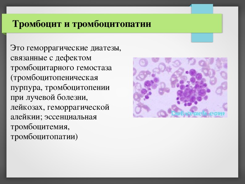 Геморрагический диатез