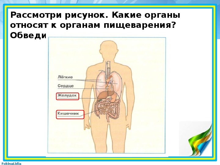 Окружающий мир система 4 класс