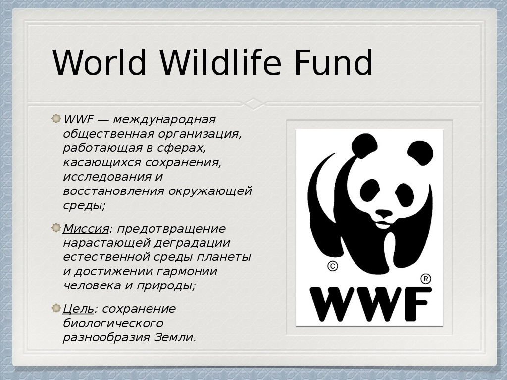 The world wildlife fund is. Всемирный фонд дикой природы WWF России. Сфера деятельности Всемирный фонд охраны дикой природы. Панда Всемирная организация. Всемирный фонд охраны дикой природы 1961.