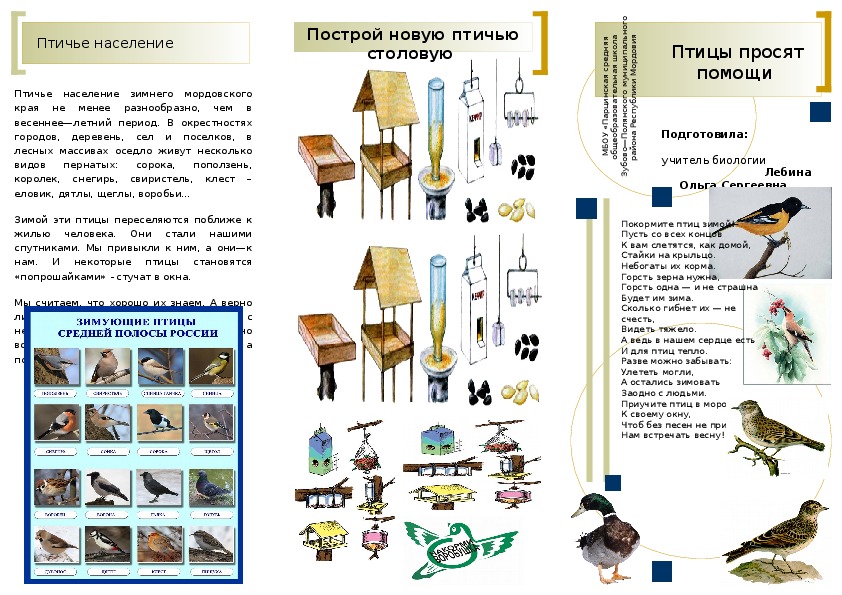 Буклет "Птицы просят помощи"