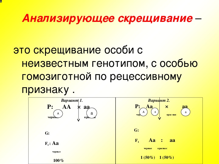 Анализирующее скрещивание генотипы. Неполное доминирование анализирующее скрещивание. Анализирующее скрещивание презентация. Анализирующее скрещивание 10 класс. Неполное доминирование анализирующее скрещивание 10 класс.