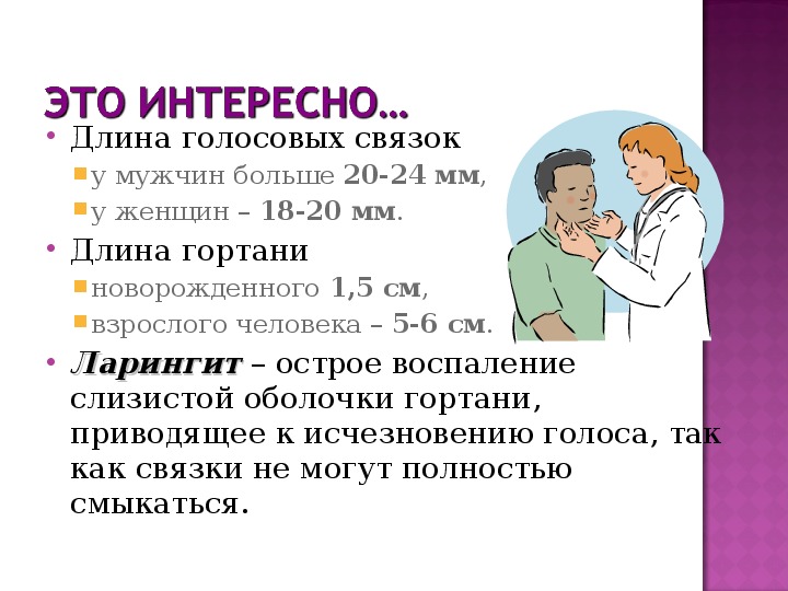 Голосовые связки мужчин. Длина голосовых связок. Голосовые связки мужчин и женщин.