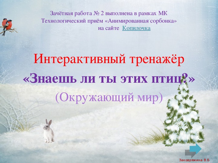 Обложка для материала Интерактивный тренажер "Знаешь ли ты этих птиц"