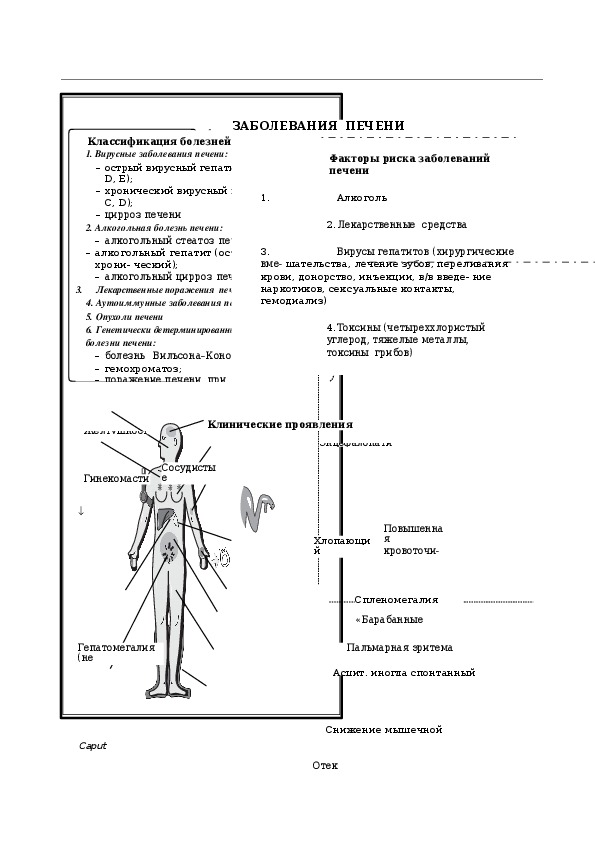 ЗАБОЛЕВАНИЯ ПЕЧЕНИ