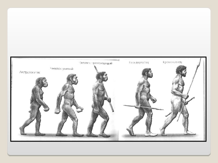 Этапы эволюции человека 9 класс пономарева