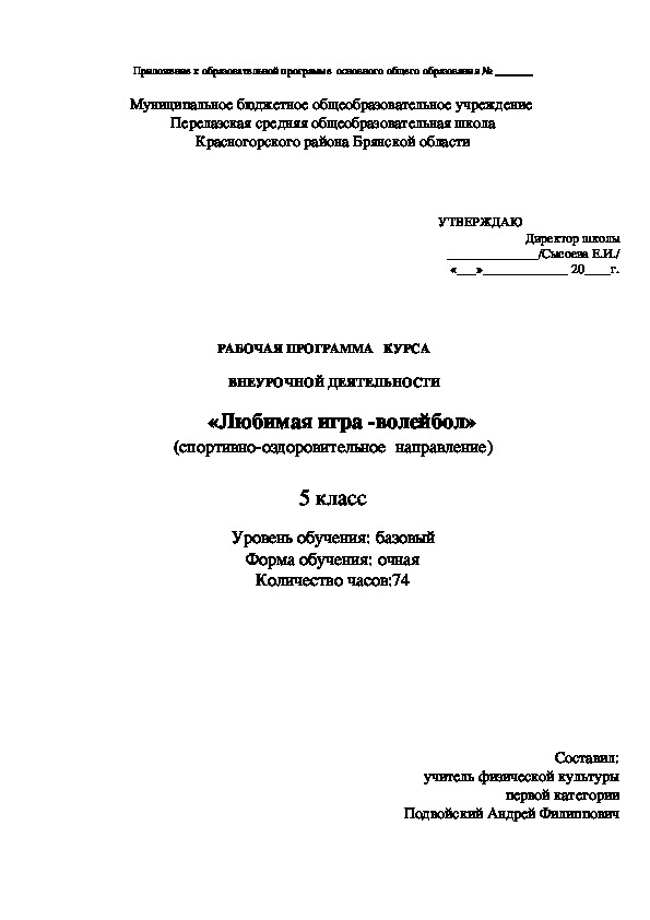 Программа внеурочной деятельности по спортивно-оздоровительному  направлению «Любимая игра- волейбол»