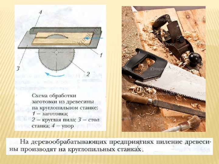 Пиление заготовок из древесины 5 класс презентация