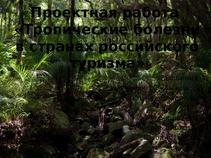 Презентация к Проектная работа "Тропические болезни в странах российского туризма"