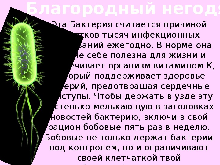 Бактерии доклад. Доклад про бактерии 3 класс окружающий мир. О бактериях детям 3 класс.