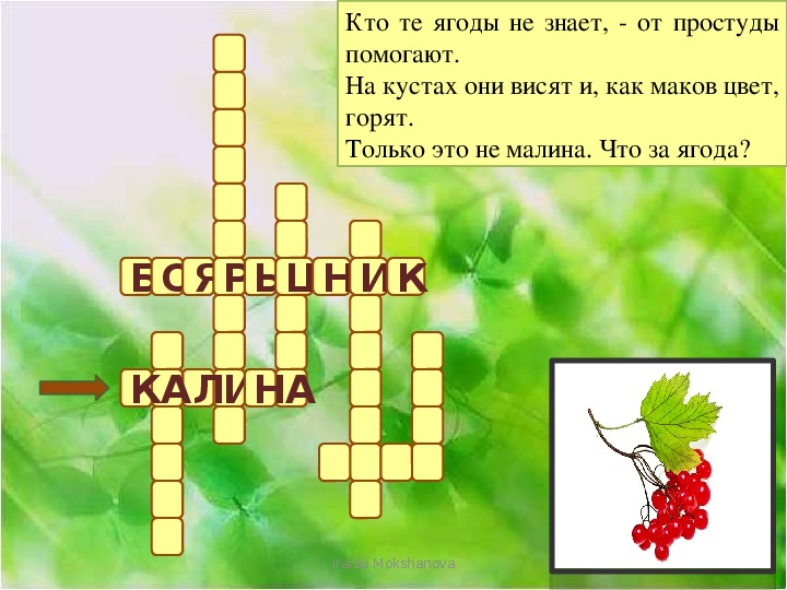 Презентация кроссворд. Кроссворд лекарственные растения. Кроссворд лекарственные травы для детей. Кроссворд лекарственные растения с ответами. Кроссворд на тему лечебные растения.