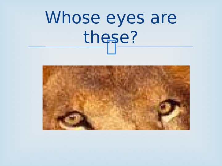 Whose eyes