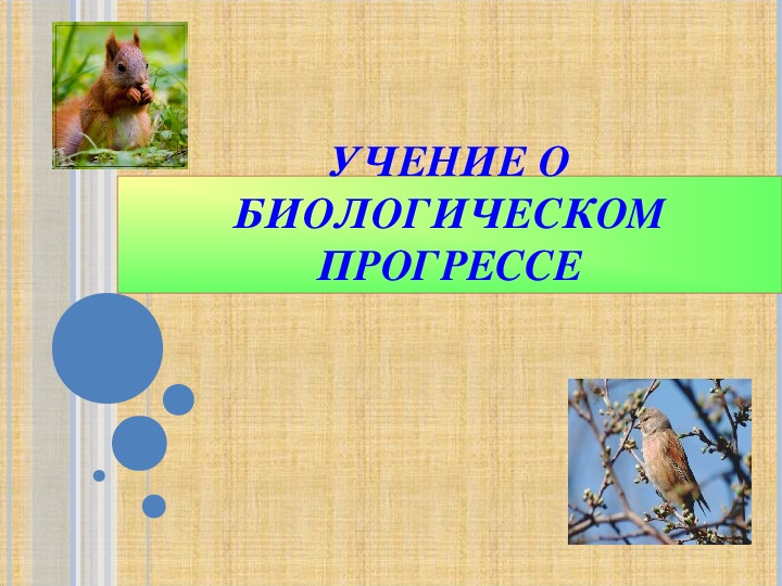 Обложка для материала Учение о биологическом прогрессе