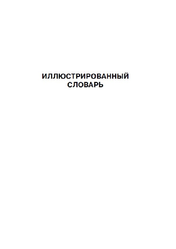 Обложка для материала Иллюстрированный словарь английских слов
