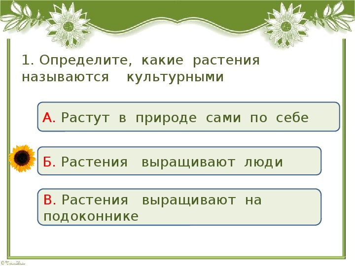 Тест 2 класс дикорастущие и культурные растения. Дикорастущие и культурные растения задания 2 класс. Дикорастущие растения и культурные растения 2 класс задания. Дикорастущие и культурные растения 2 класс окружающий мир задания. Дикорастущие и культурные растения 2 класс карточки с заданиями.