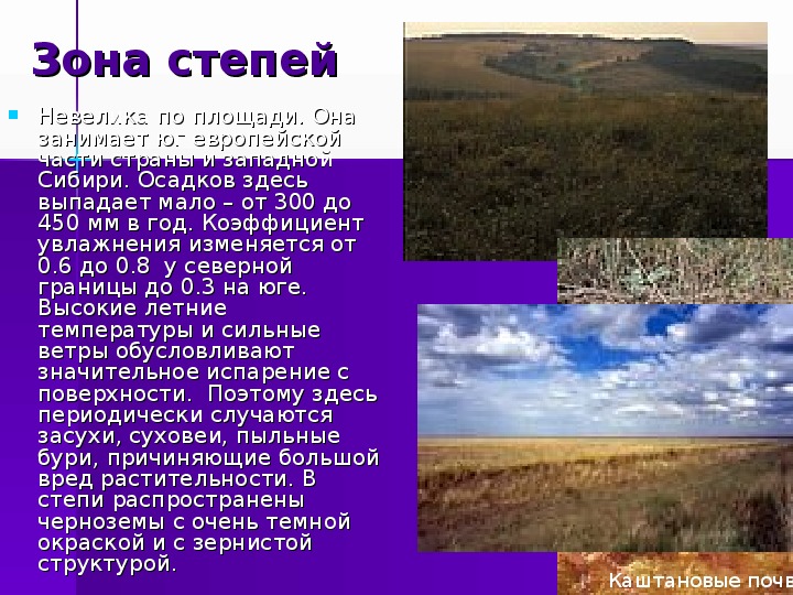 Богатства степей. Внутренние воды степи. Ресурсы зоны степей.