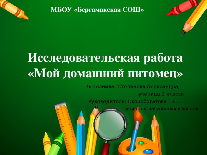 Исследовательская работа  "Мой домашний питомец"