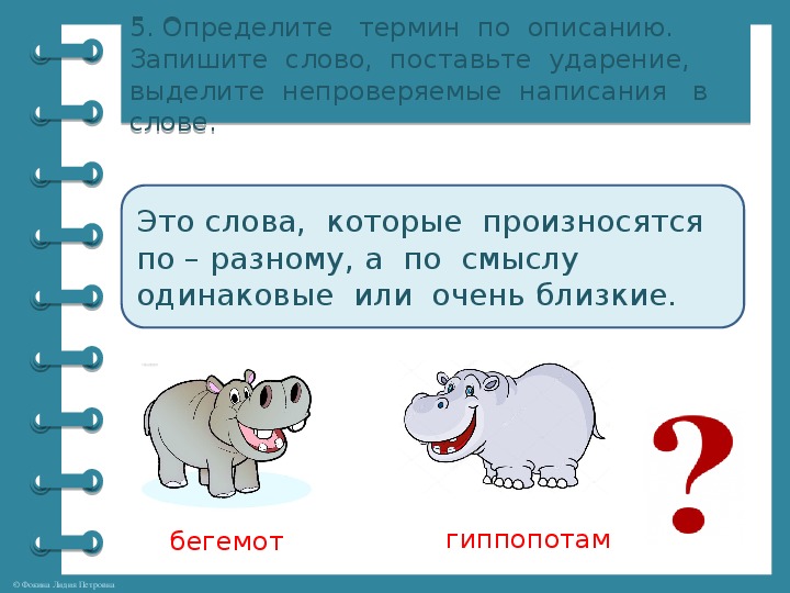 Кого называют аллигатором кого гиппопотамом запиши названия животных и вопросы