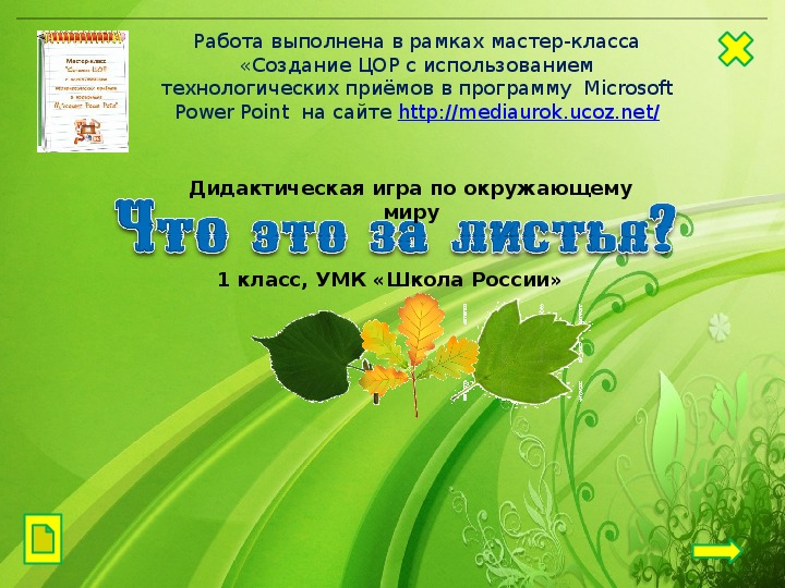 Обложка для материала Дидактическая игра "Что это за листья"
