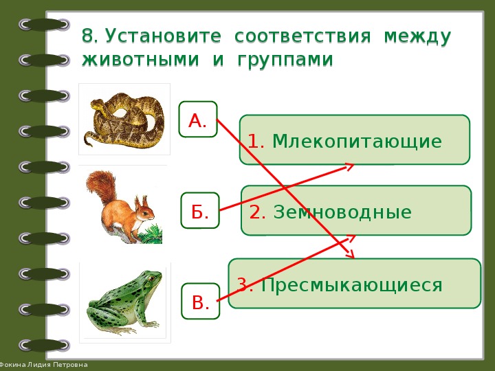 Земноводные проверочная работа 2 класс. Задание на соответствие по биологии. Классы животных задания. Задания на тему какие бывают животные. Какие бывают животные задания 2 класс.