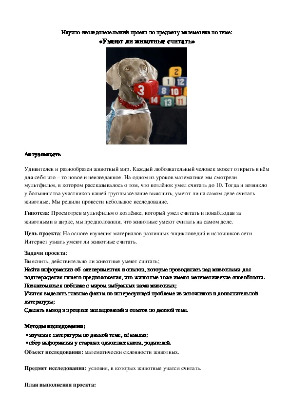 Обложка для материала Научно-исследовательский проект по предмету математика по теме: «Умеют ли животные считать»