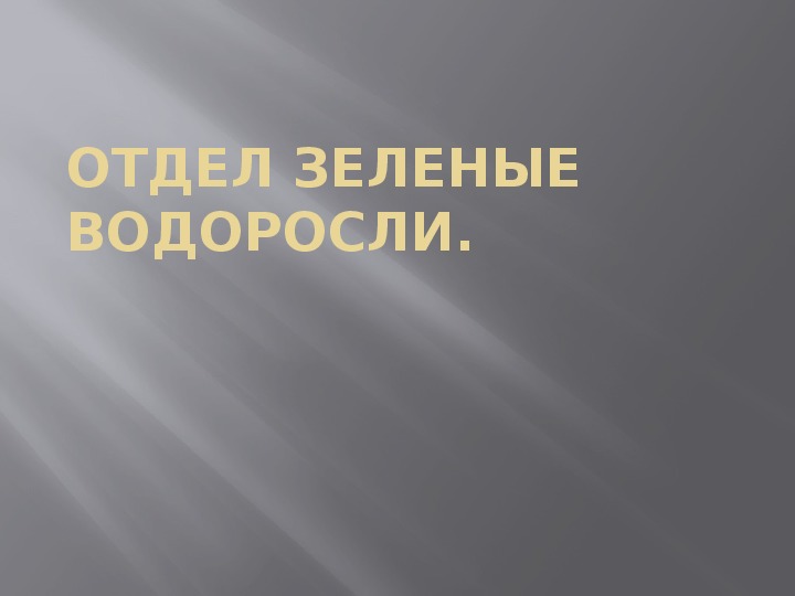 Презентация по биологии на тему "Зелёые водоросли"