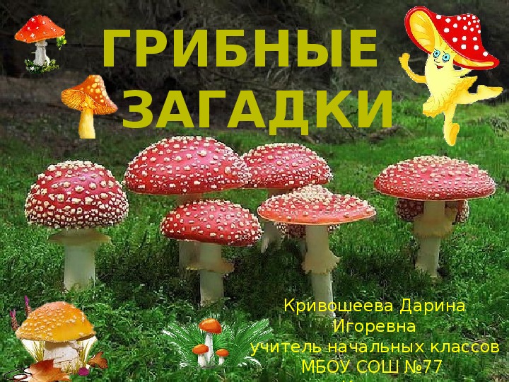 Обложка для материала Грибные загадки