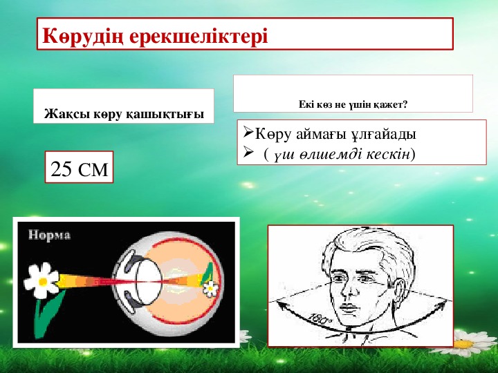 Проект по физике на тему оптика