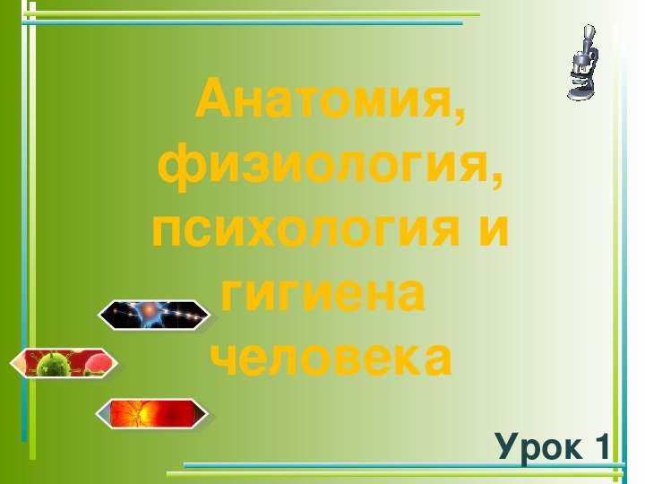 Анатомия гигиена. Анатомия физиология психология и гигиена человека. Презентация гигиена человека 8 класс биология.