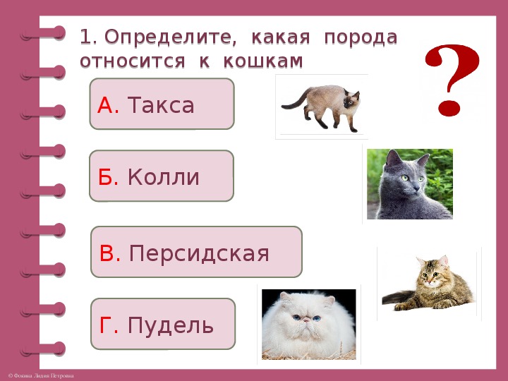 Технологическая карта про кошек и собак 2 класс школа россии