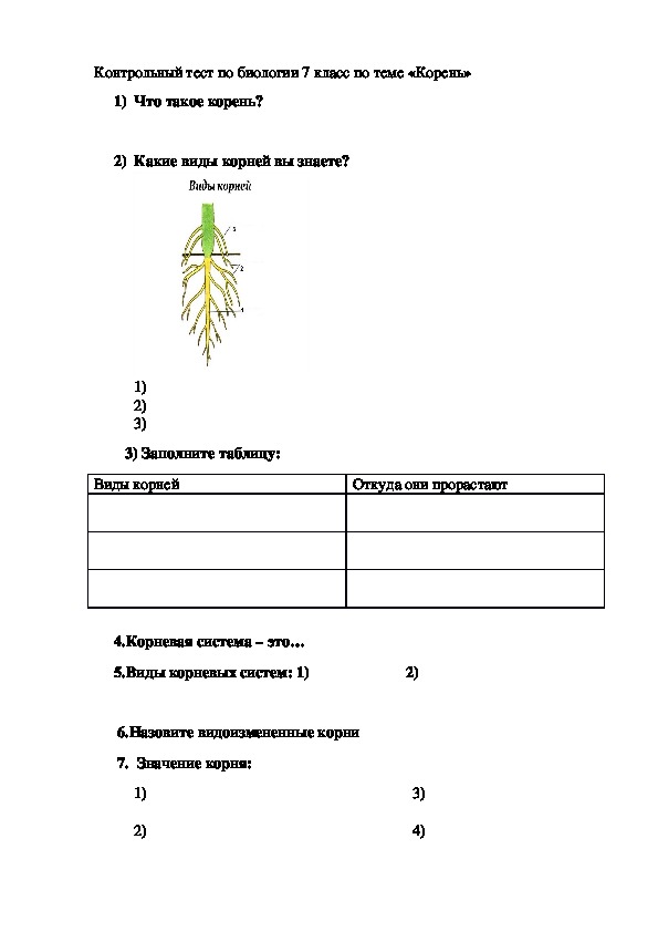 Тест по биологии 7 класс коррекционной школы 8 вида по теме"Корень"
