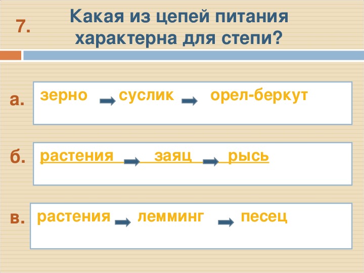 Цепь питания характерная для степи