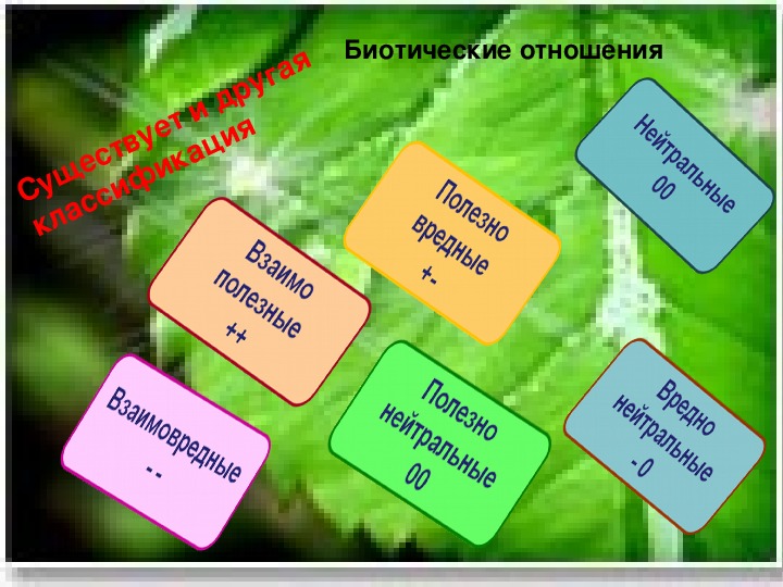 Биотические факторы среды презентация. Биотические факторы. Биотические факторы среды 9 класс. Биотические факторы среды презентация 9 класс биология. Биотические факторы презентация.