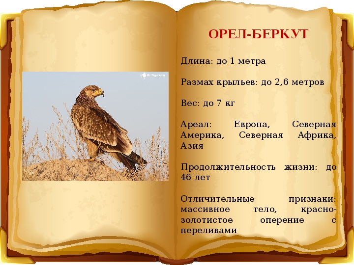 Проект красная книга 5 класс география