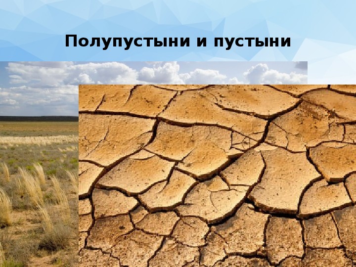 Проблемы полупустынь в россии