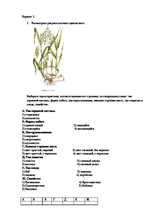 Проверочная работа " Систематика растений" (6 класс)