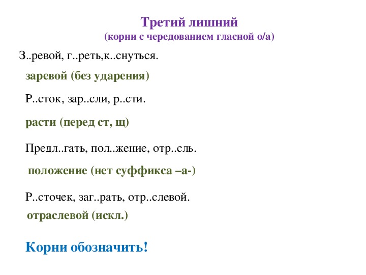 Презентация по русскому языку "Третий лишний" для обучающихся 5-6 классов.