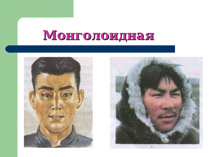 Человеческая монголоидная раса