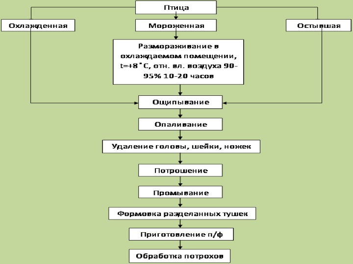 Составить схему организации производства полуфабрикатов из птицы