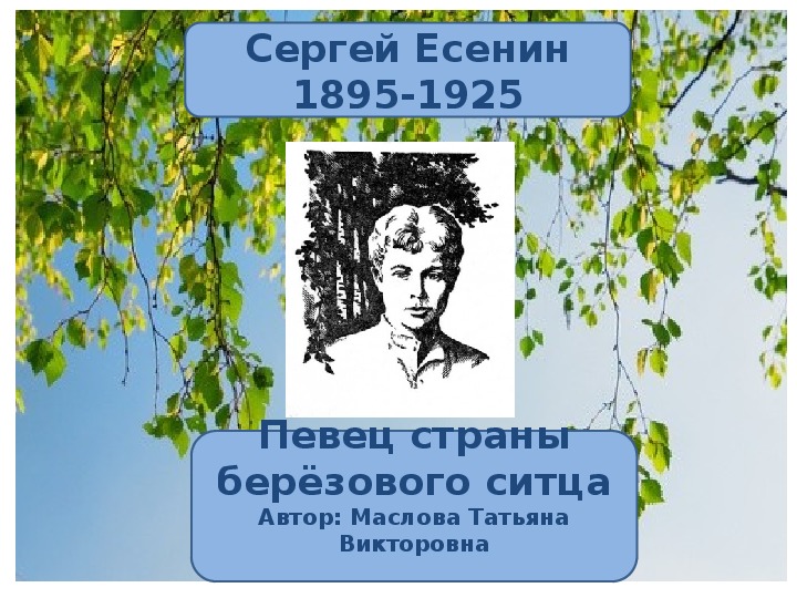 Есенина 11. Певец березового ситца Есенин. Есенин певец страны березового ситца. Страна березового ситца в лирике с.а.Есенина. Сергей Есенин Страна березового ситца презентация.