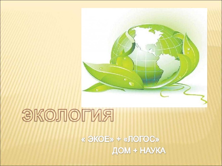 Обложка для материала Экологический утренник