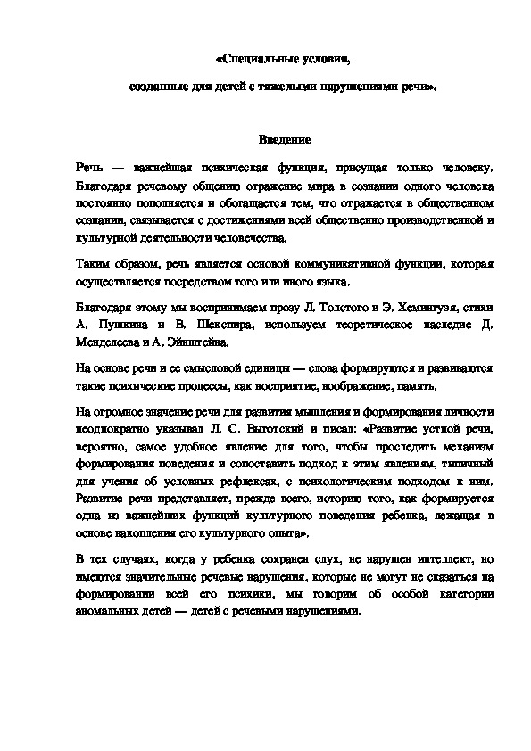 Специальные условия, созданные для детей с тяжелыми нарушениями речи