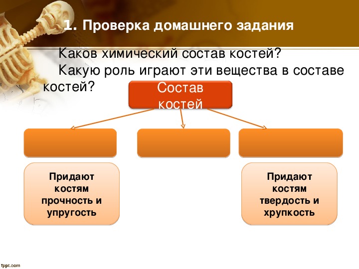 Твердость кости придают