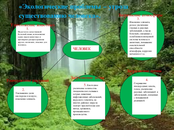 Анализ экологической группы