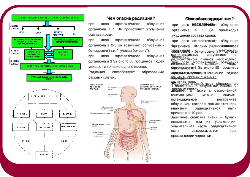 ИССЛЕДОВАТЕЛЬСКАЯ РАБОТА    «Исследование динамики онкологических заболеваний у населения Могилевской области»