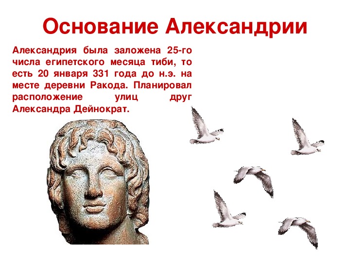 Музей в александрии египетской 5 класс. Александрия Египетская 5 класс. Основание Александрии египетской 5 класс кратко. План Александрии 5 класс.