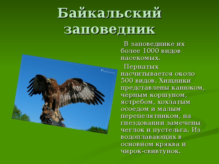 Тема заповедник. Заповедники презентация. Рассказ о заповеднике России. Заповедники России презентация. Российские заповедники презентация.