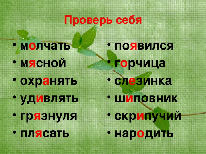 Шиповник проверочное. Шиповник проверочное слово. Проверочное слово к слову охранял.