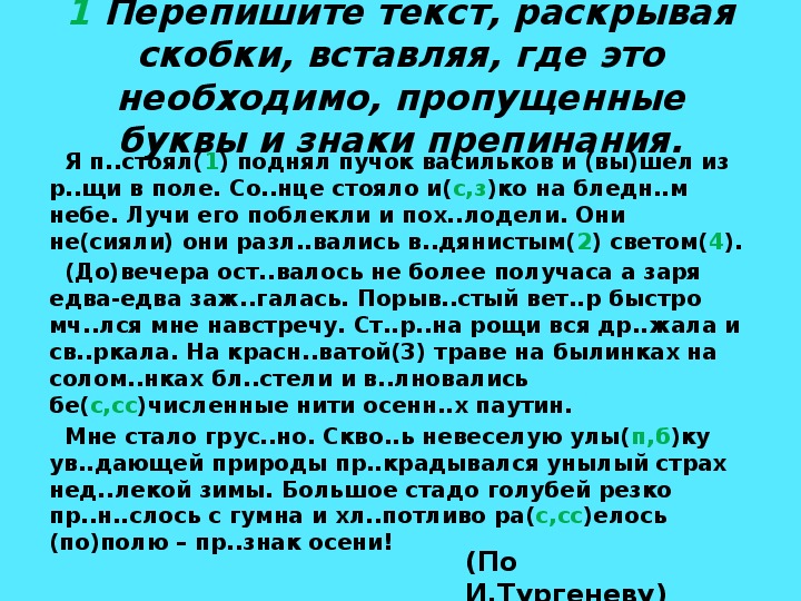 ВПР Русский язык Вариант для подготовки
