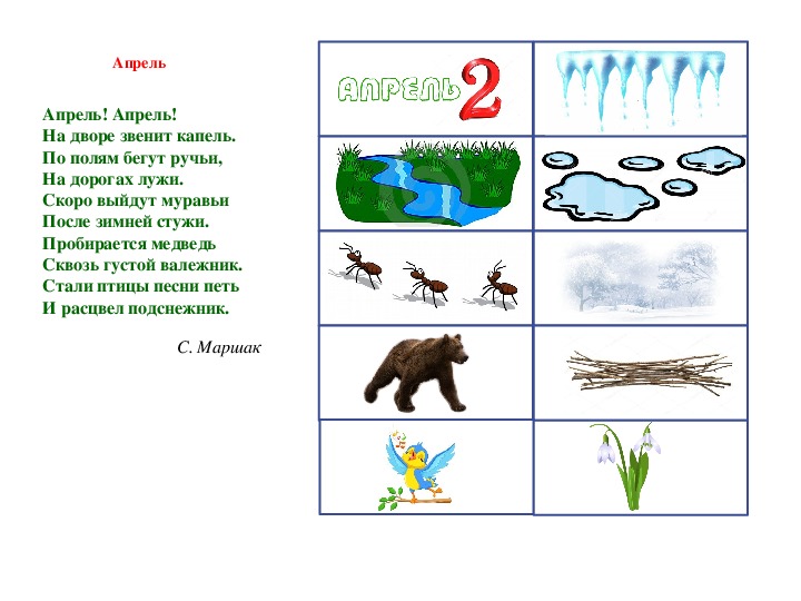 Пробирается медведь сквозь лесной валежник картинка