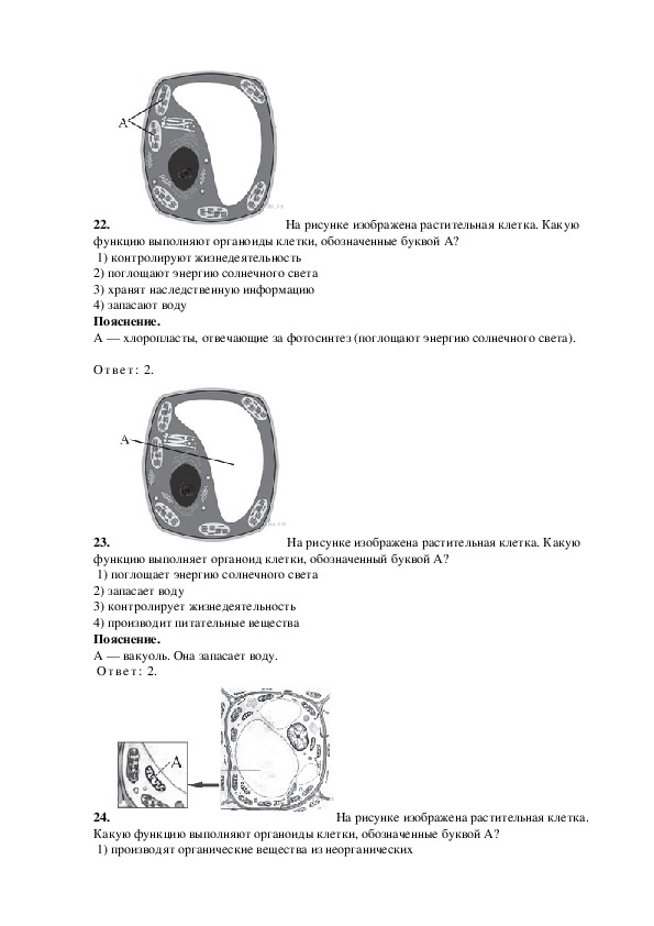 Какой буквой на рисунке обозначена